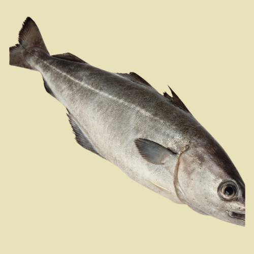 Makayabu - Salted fish