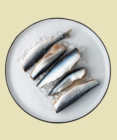 Sardinen tiefgefroren